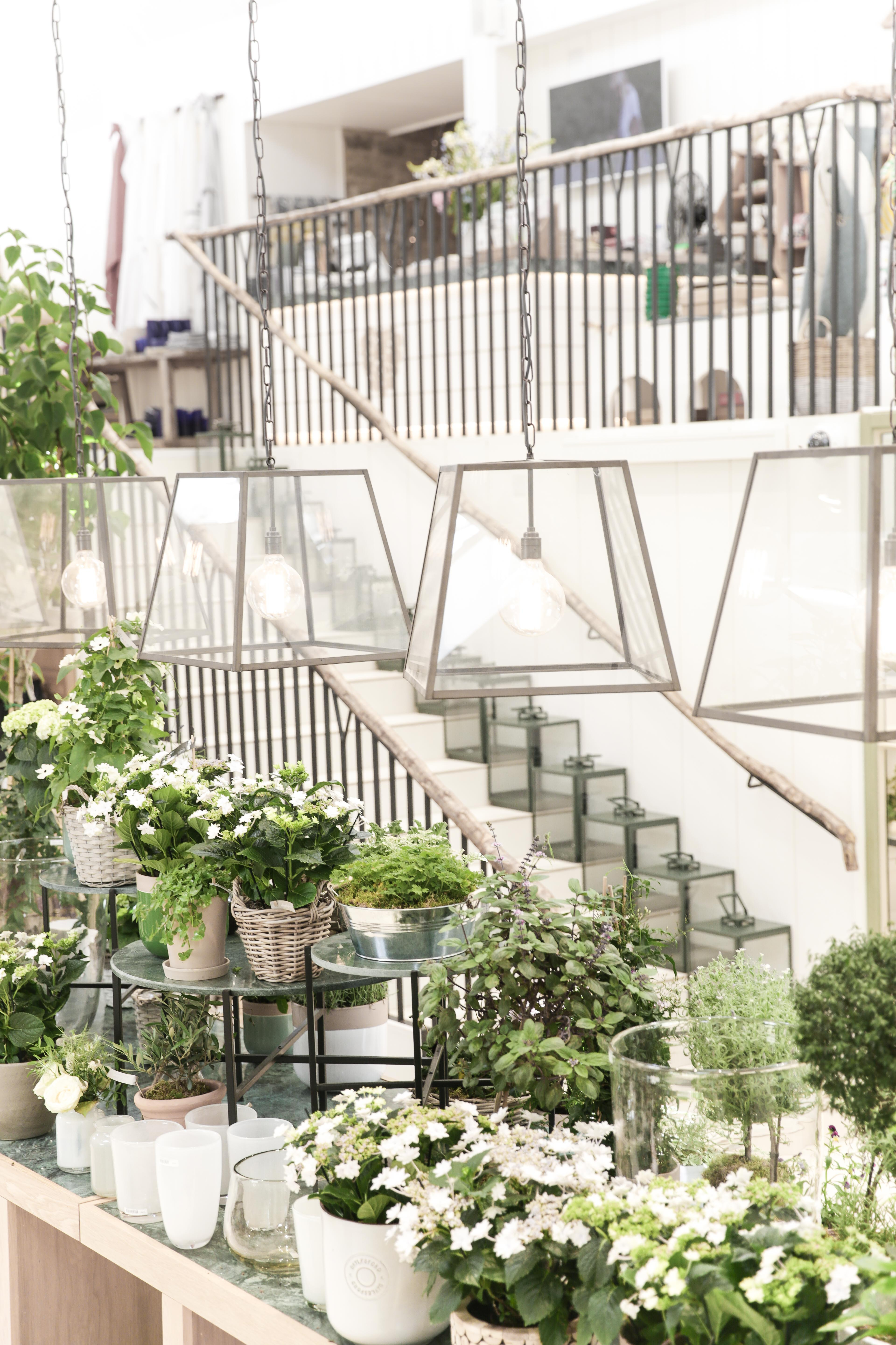 8V7A7094 Daylesford Farm