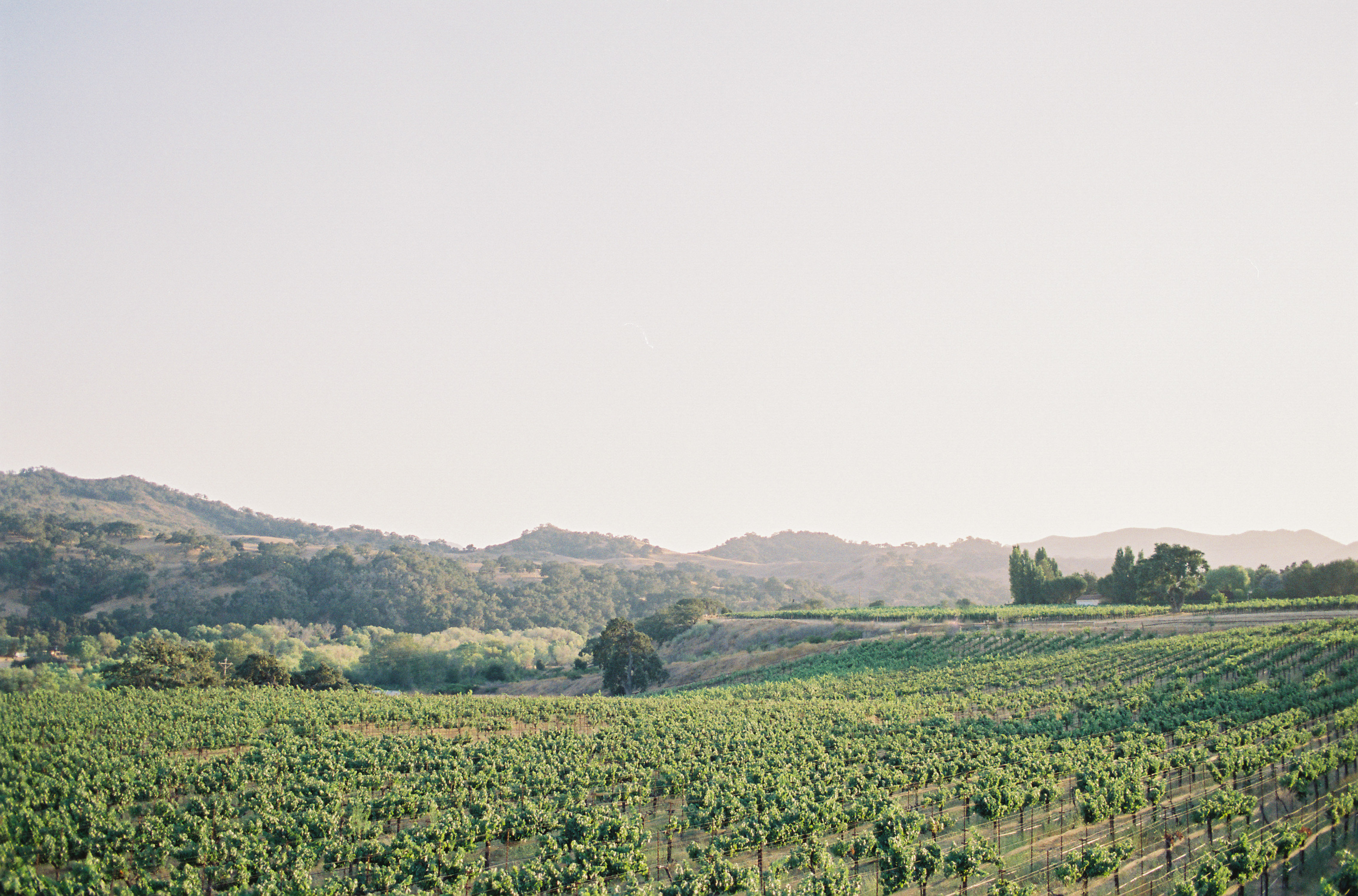 KS-Editorial-102-Jen-Huang-006968-R2-014 Sunstone Vineyards & Winery