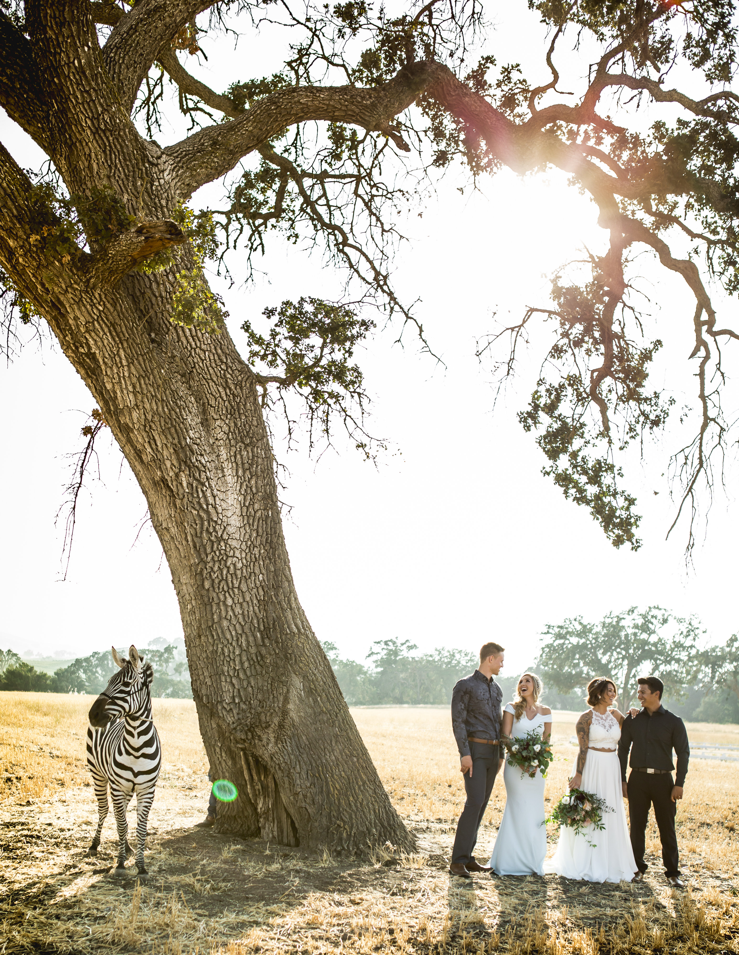 Zebra styled shoot-Zebra styled shoot-0168 Fallen Oaks Estate