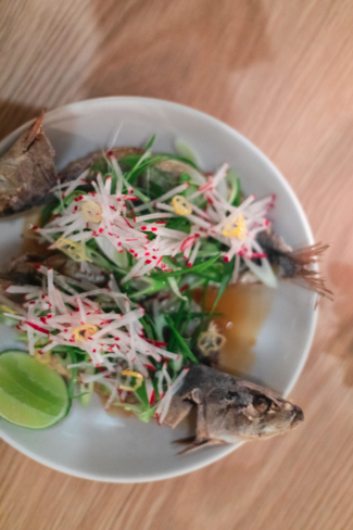 image (14) Cerf Club