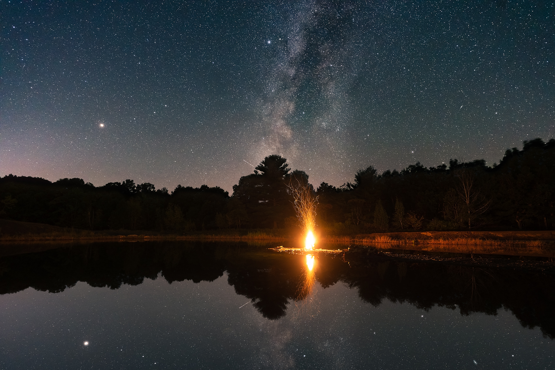 19- Spoticus_DSC4066 Gather Greene