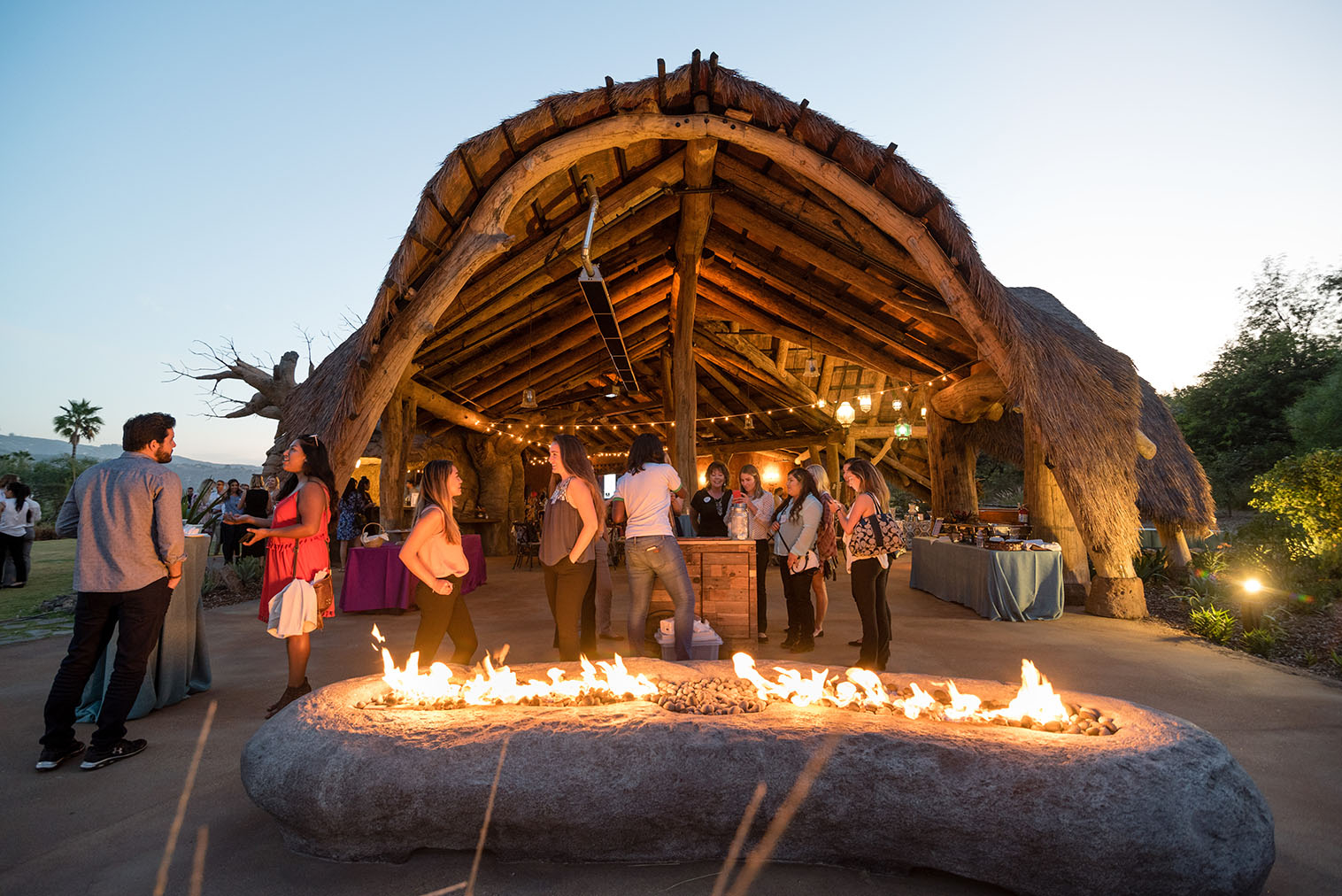 SanDiegoZoo-SafariPark-HoffmanPhotoVideo-01 San Diego Zoo Safari Park