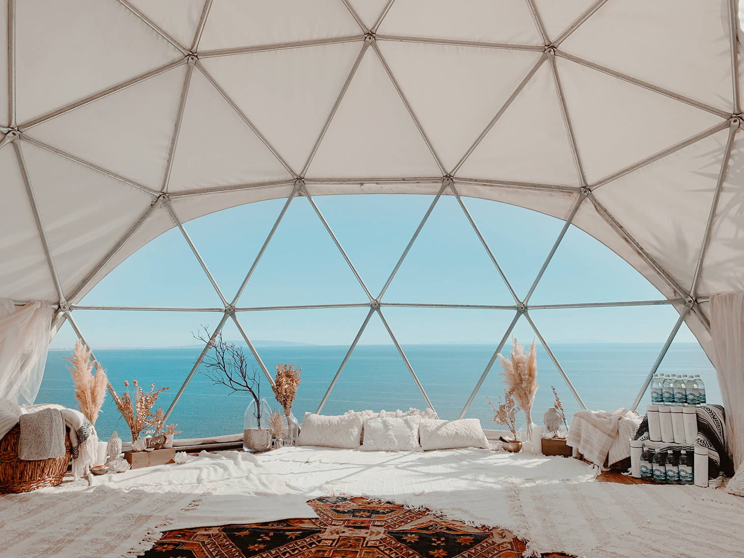 FiveSenseCollective-08 Five Sense Collective