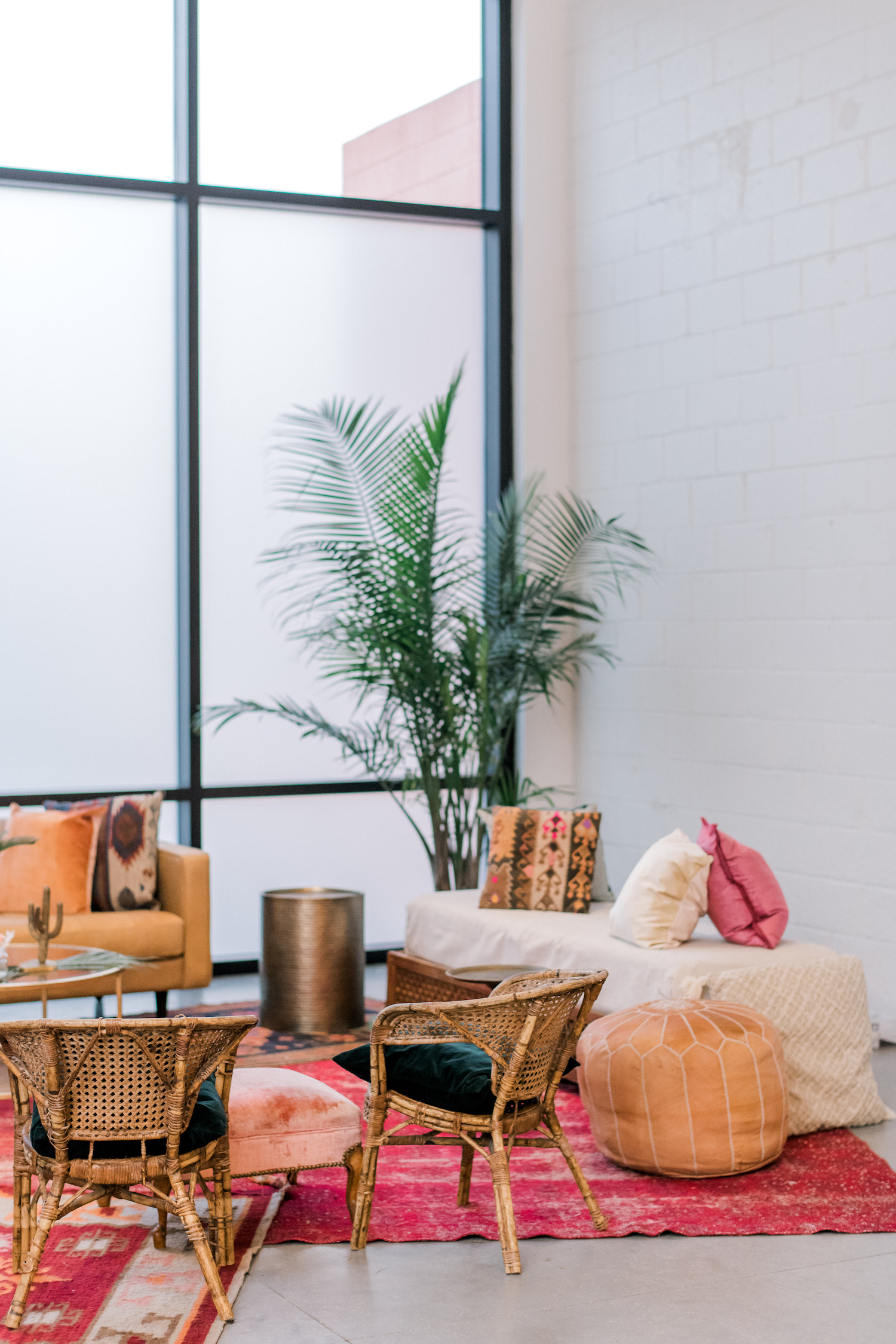 Molly Ann Photo Mojave East