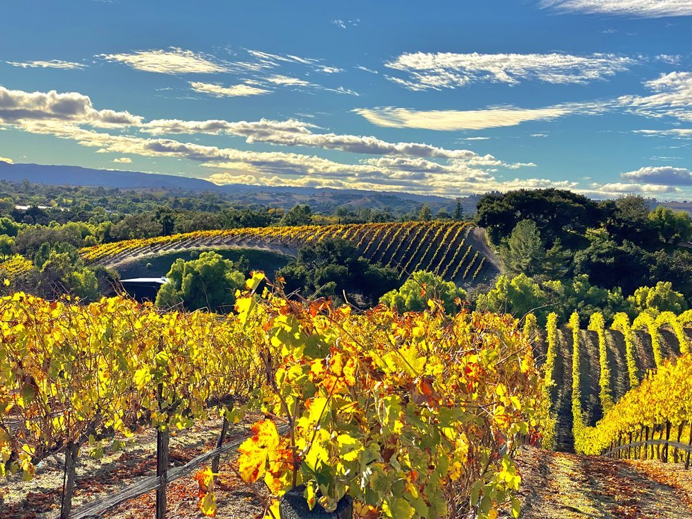 Santa Ynez Ranch Events