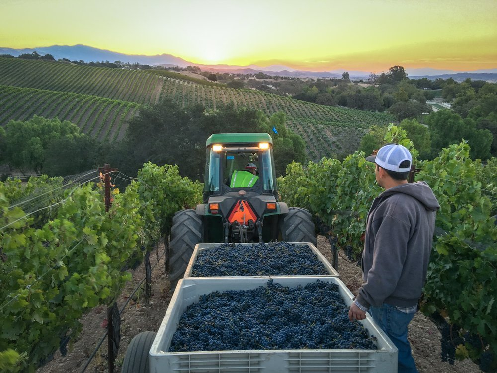 Santa Ynez Ranch Events