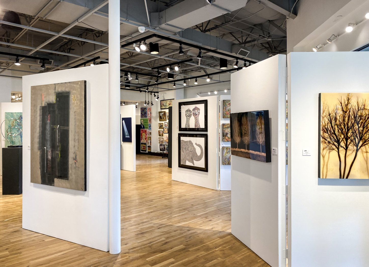 IMG_2525 (1) Ao5 Gallery