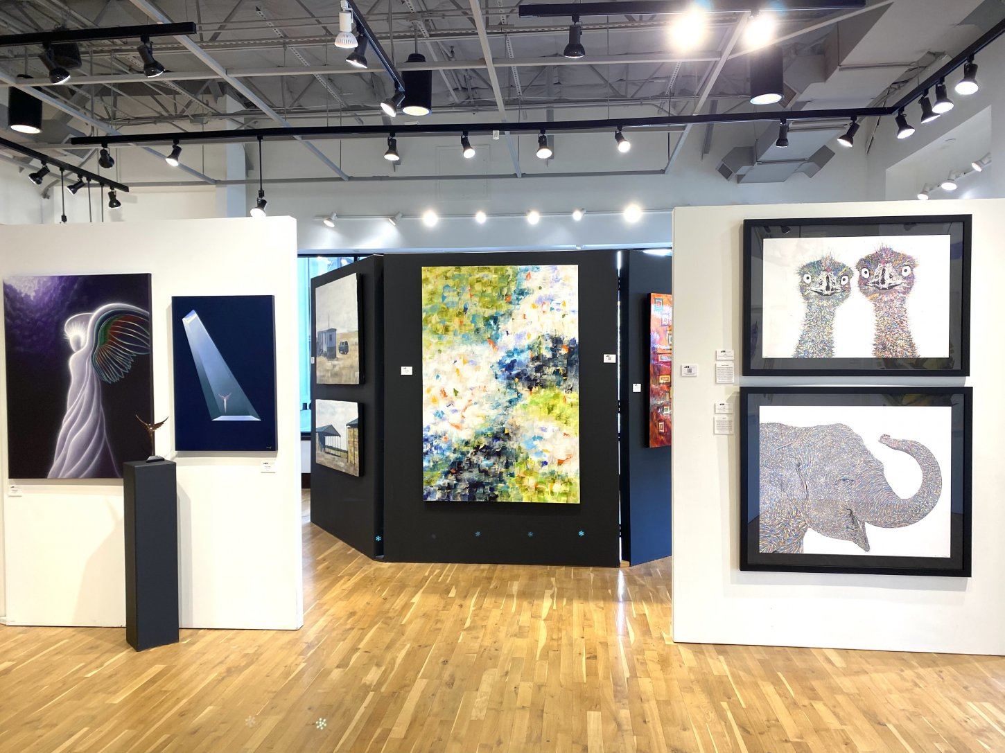 IMG_2607 Ao5 Gallery