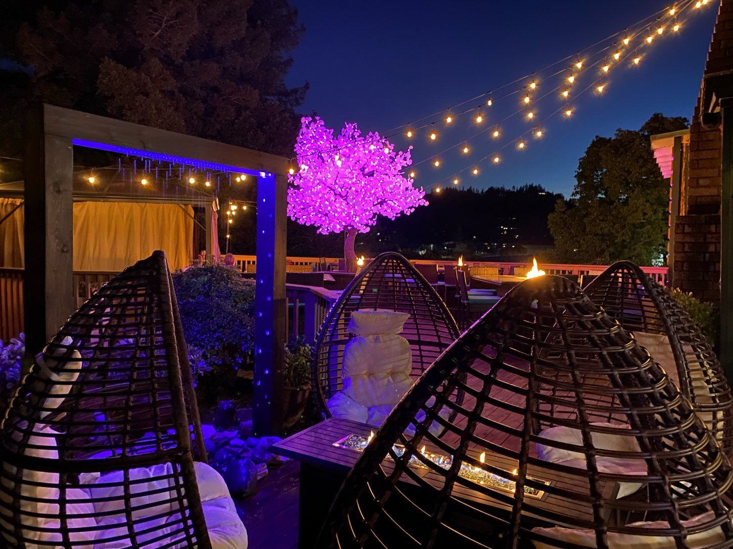 Cloud 9 Egg chair View with fountain and pink tree Bruno's Bar and Grill