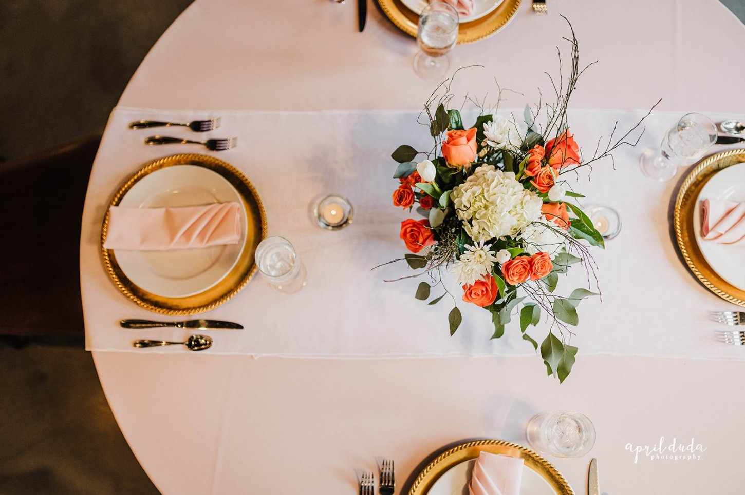 april duda cf (51 of 71) Copper Fox