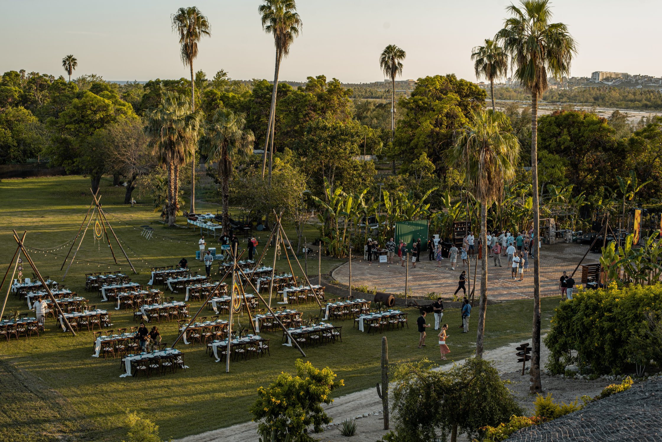 IVA_6876 (1) Tamarindos