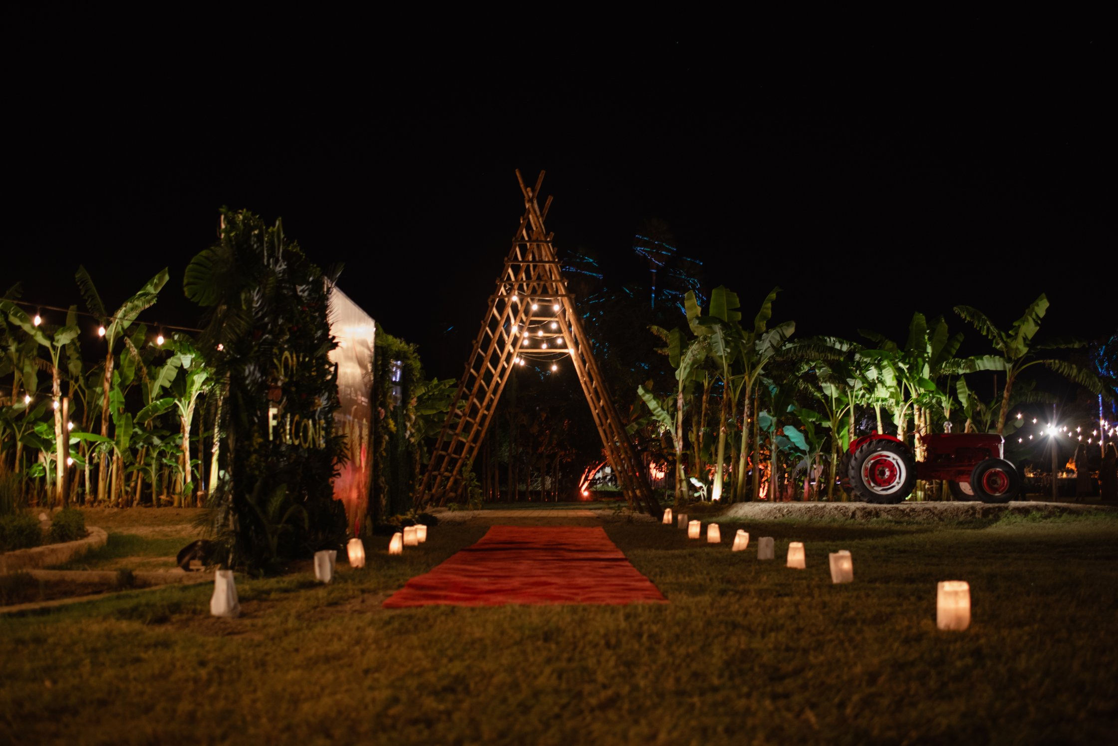 TIERRAVIVA-147 Tamarindos