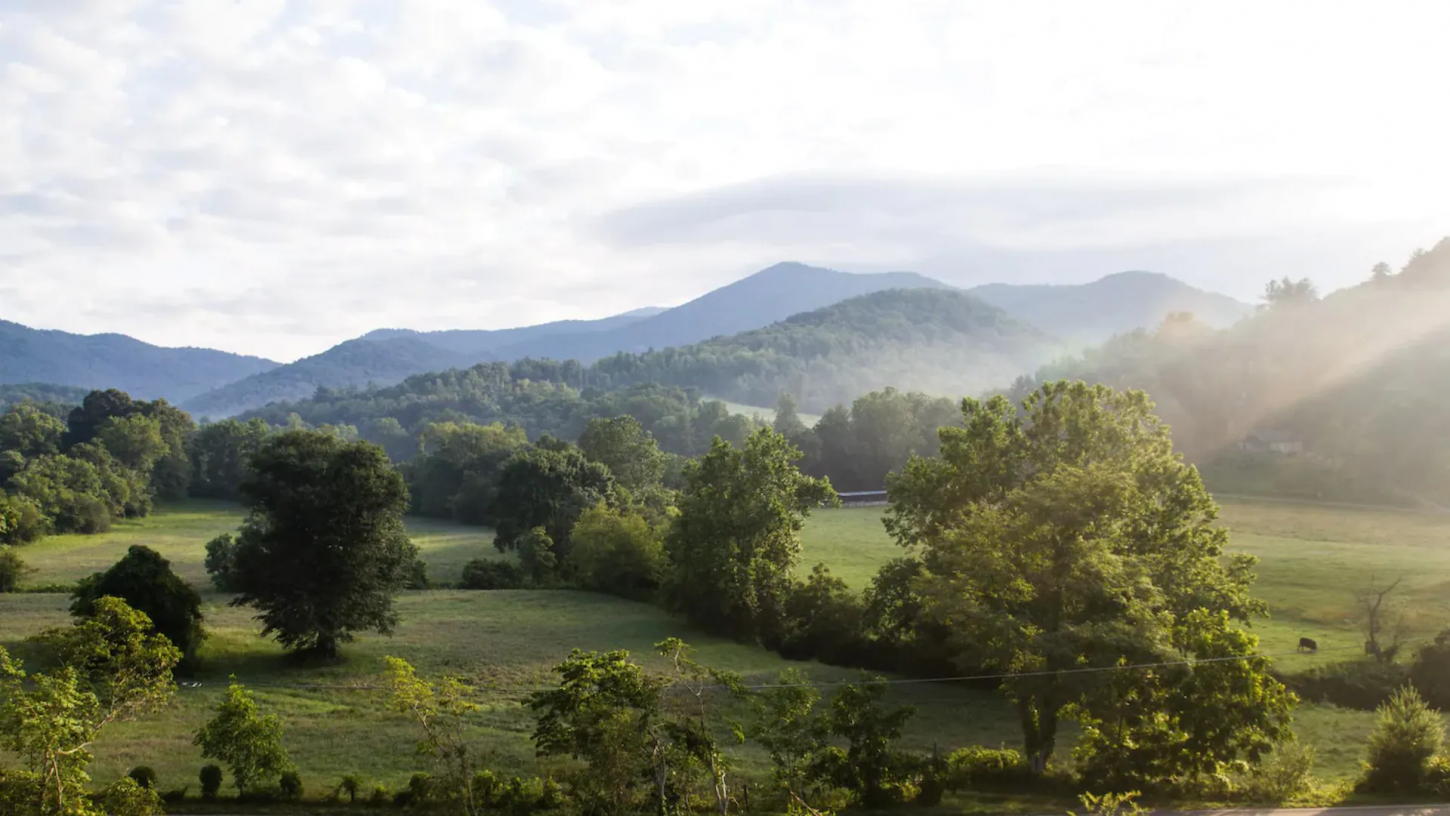 Wander Asheville Meadows