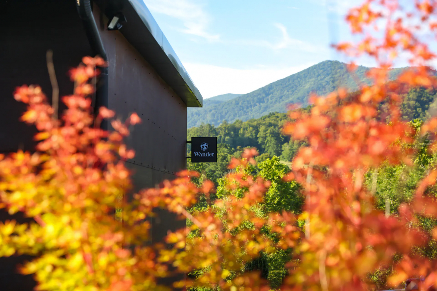 Wander Asheville Meadows