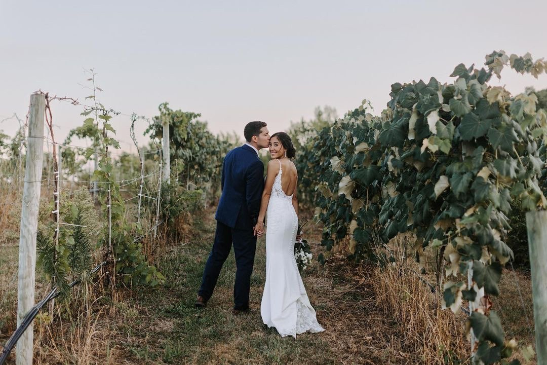 8E82E8FA-C13E-49B3-B0F1-8CB9EE3B67F0 Nostrano Vineyards