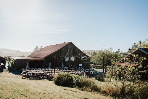 THEDELAURAS_OLYMPIAVALLEYESTATE_OVE_PETALUMAWEDDING_NICOLRLOUIS_0952 Olympia's Valley Estate