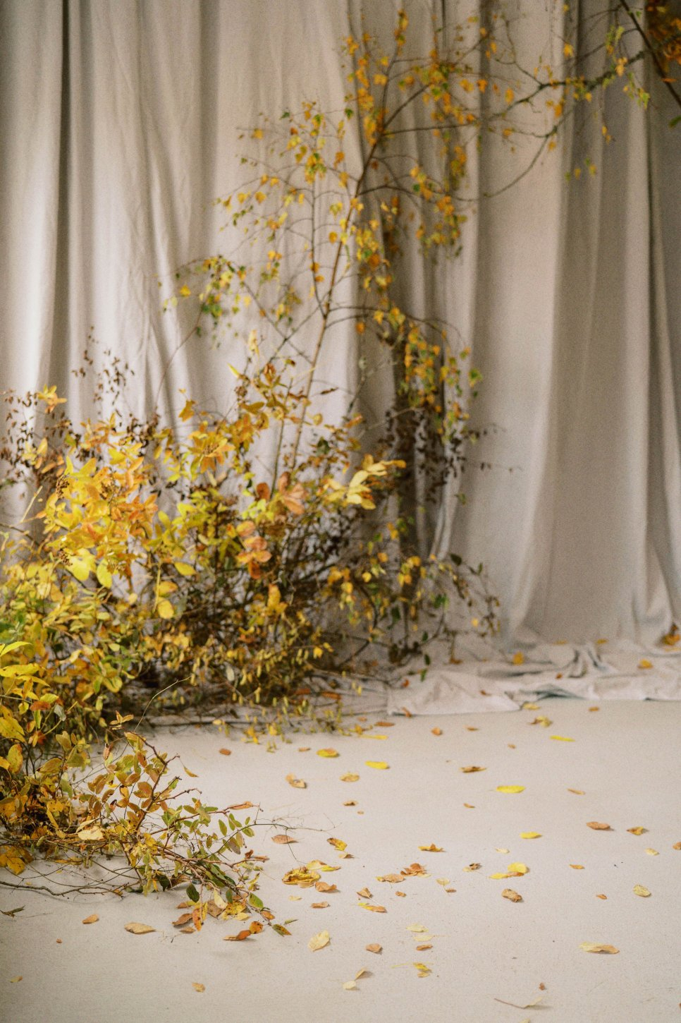 normanfarms-14 Norman Farms Estate