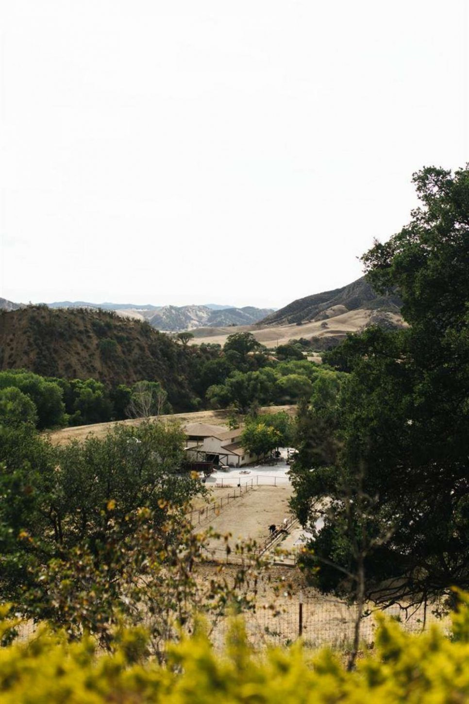 9ee41866-32d1-4845-a228-19a28c5b2b8b Bar SZ Ranch