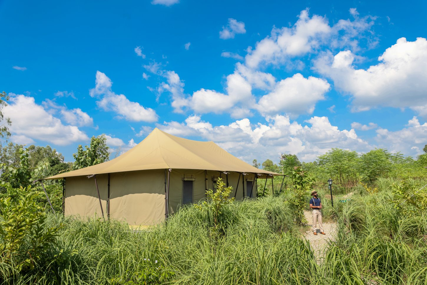 Luxury Suite Aalia Jungle Bandarjudh