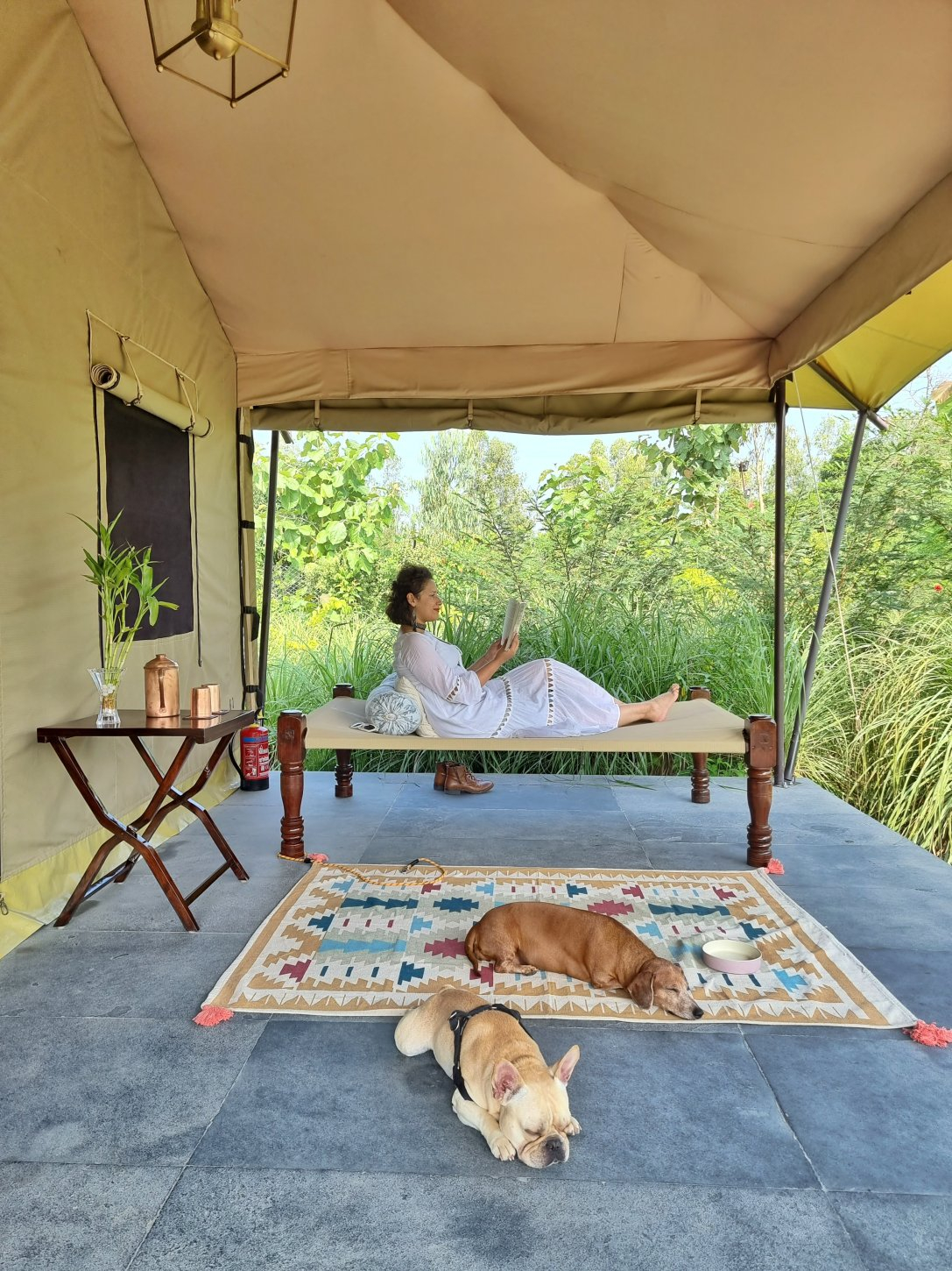 Private Patio Aalia Jungle Bandarjudh