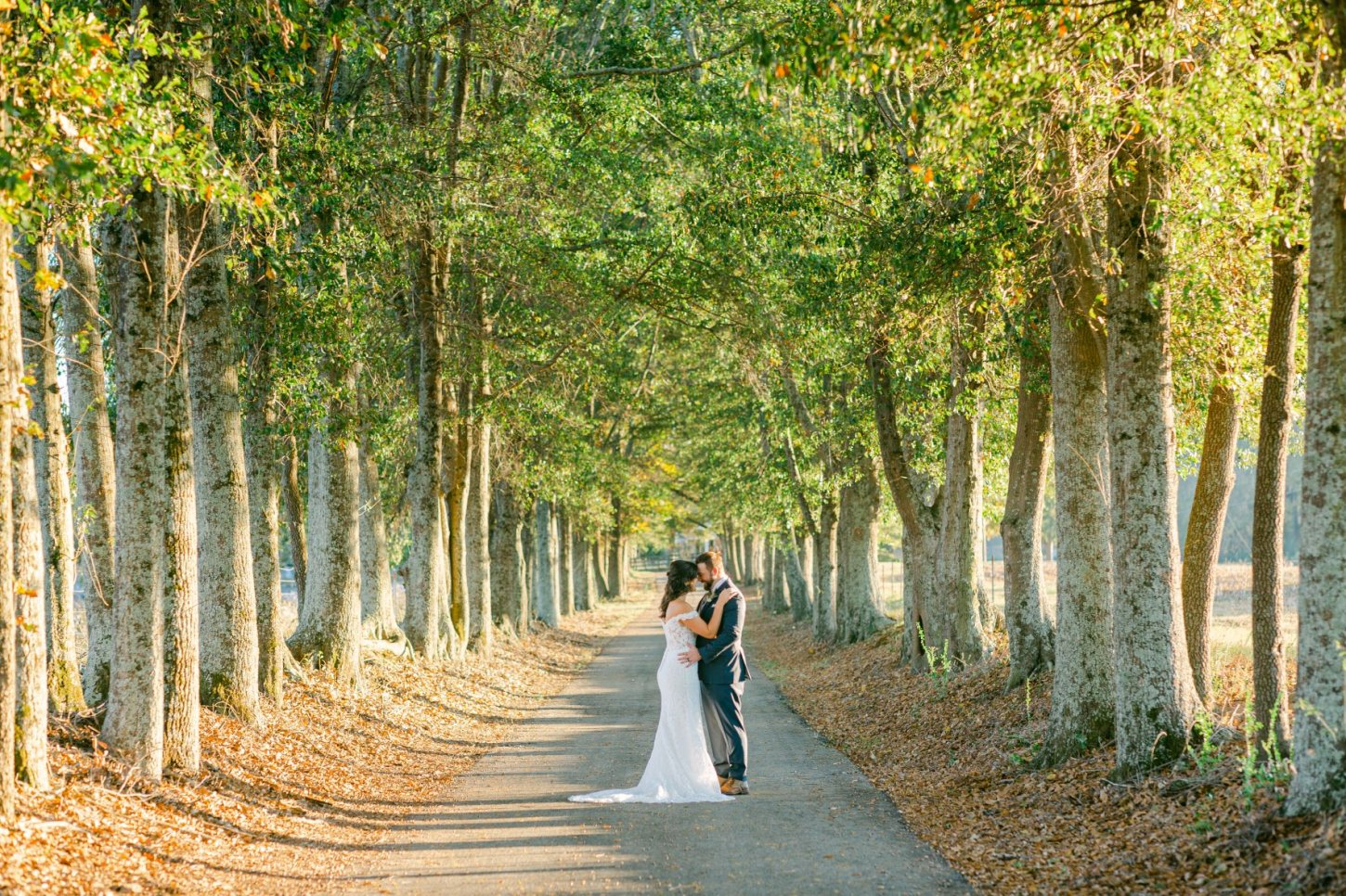 bride-groom-private-treelined-road The Farm at Wolf Creek