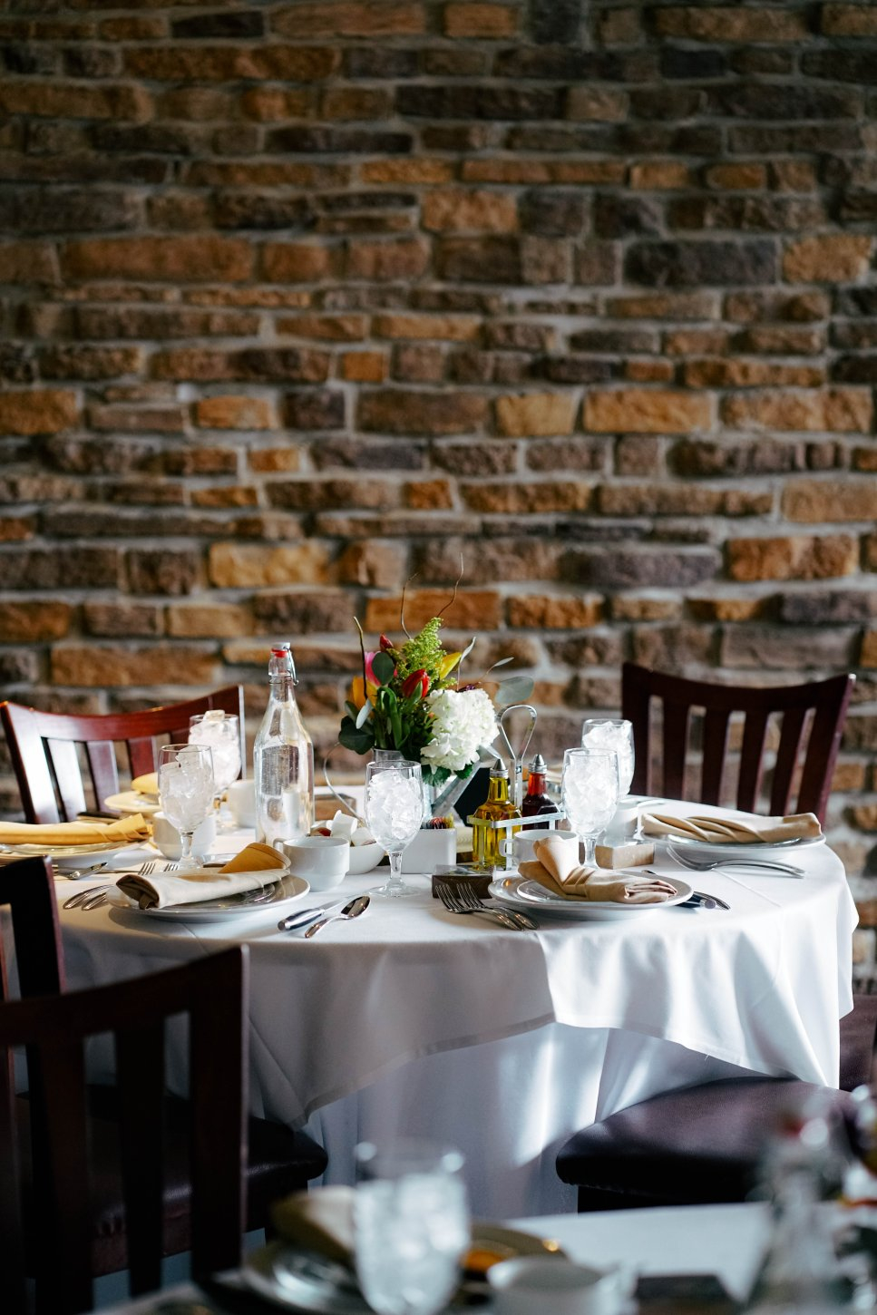 DSC04689-3 Copper Fox