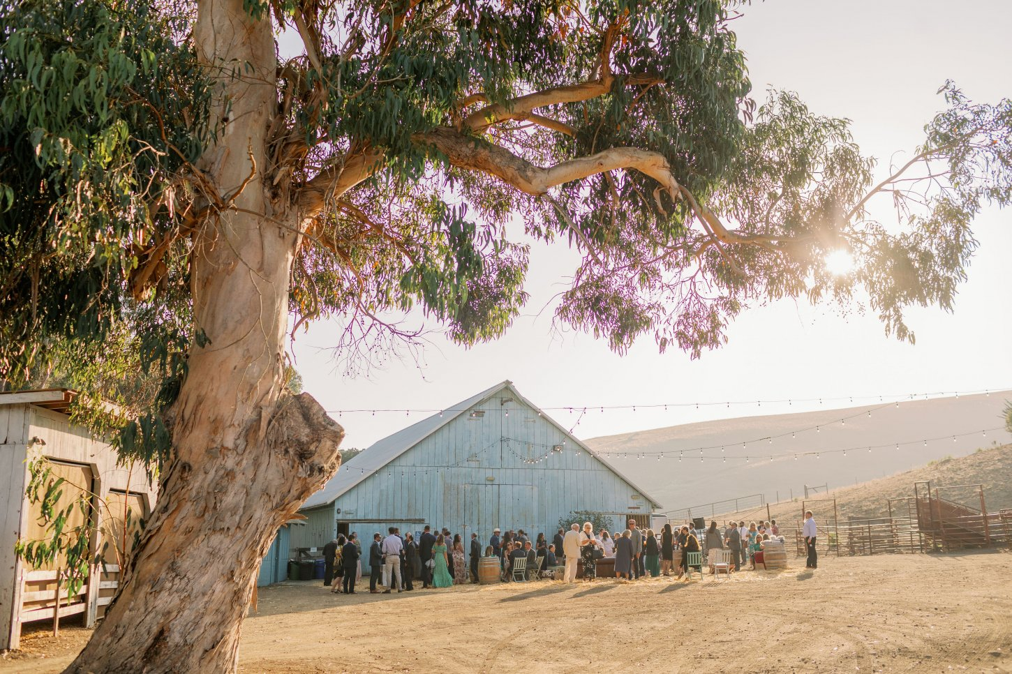 Balent_Reception_52 Swallow Creek Ranch