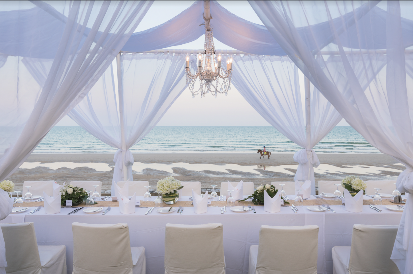 Screen Shot 2023-02-22 at 4 Casa Blanca