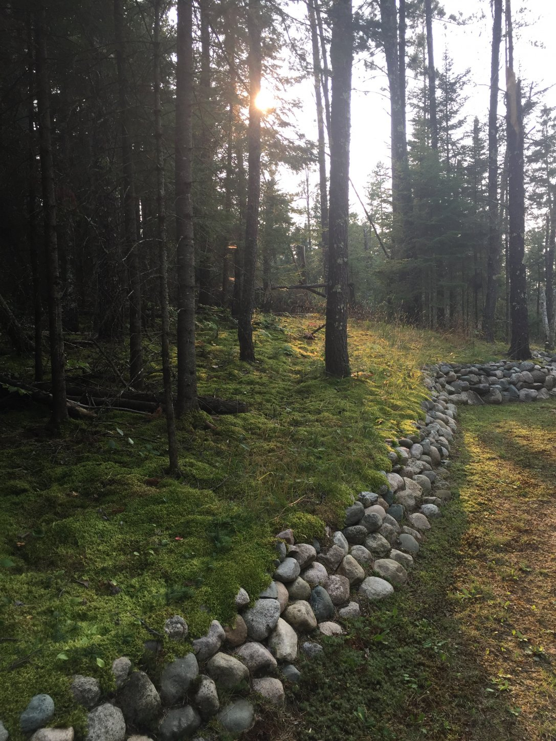 Black Lantern Resort