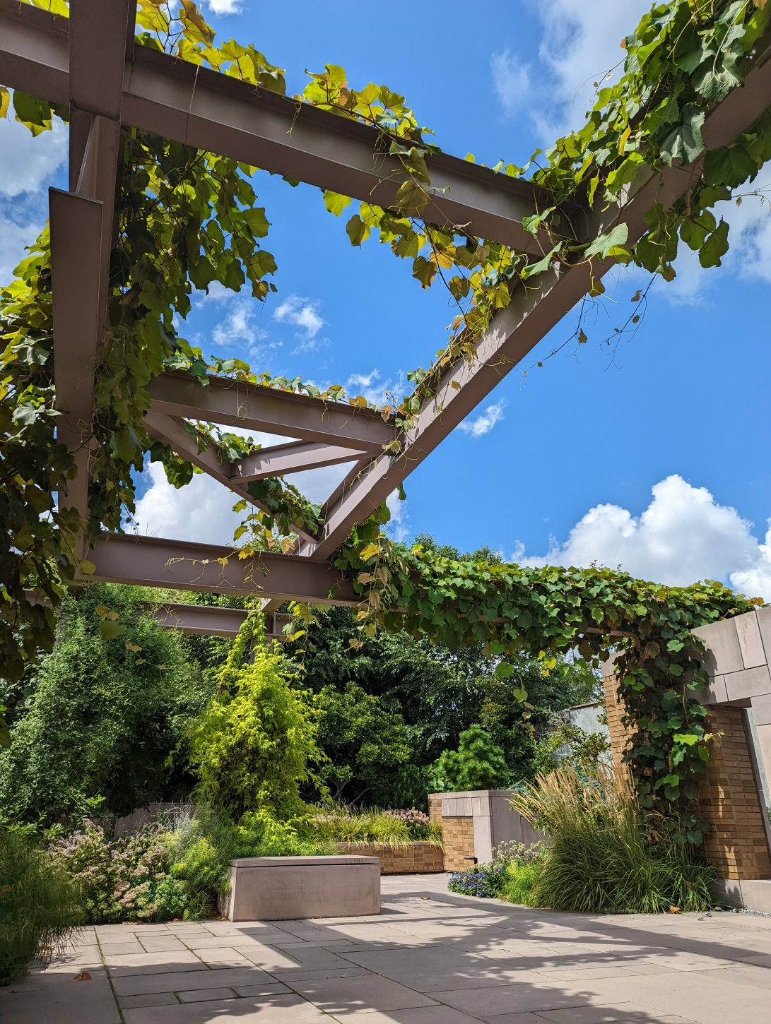 SummerGarden Carroll Hall