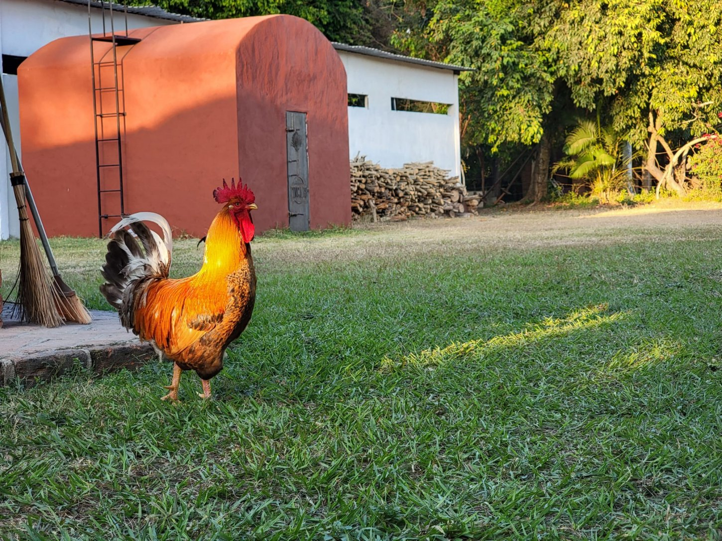 WhatsApp Image 2023-02-27 at 2 Finca 18