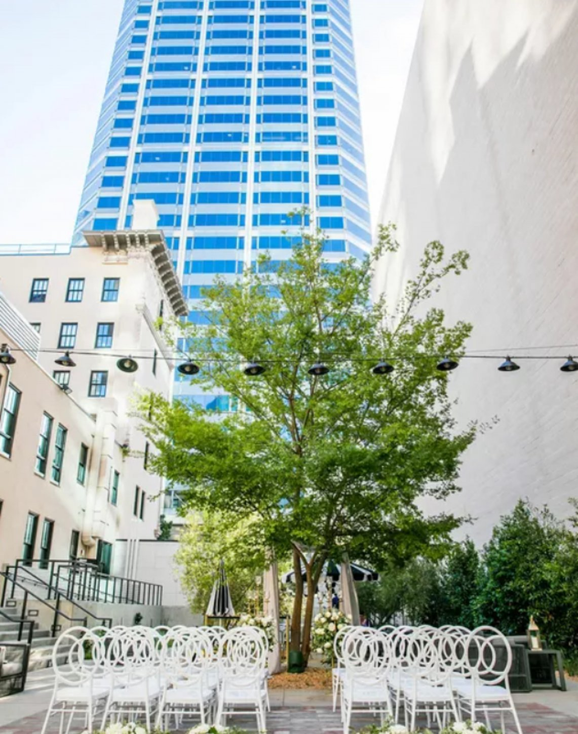 Poppy w tree The Guild Hotel