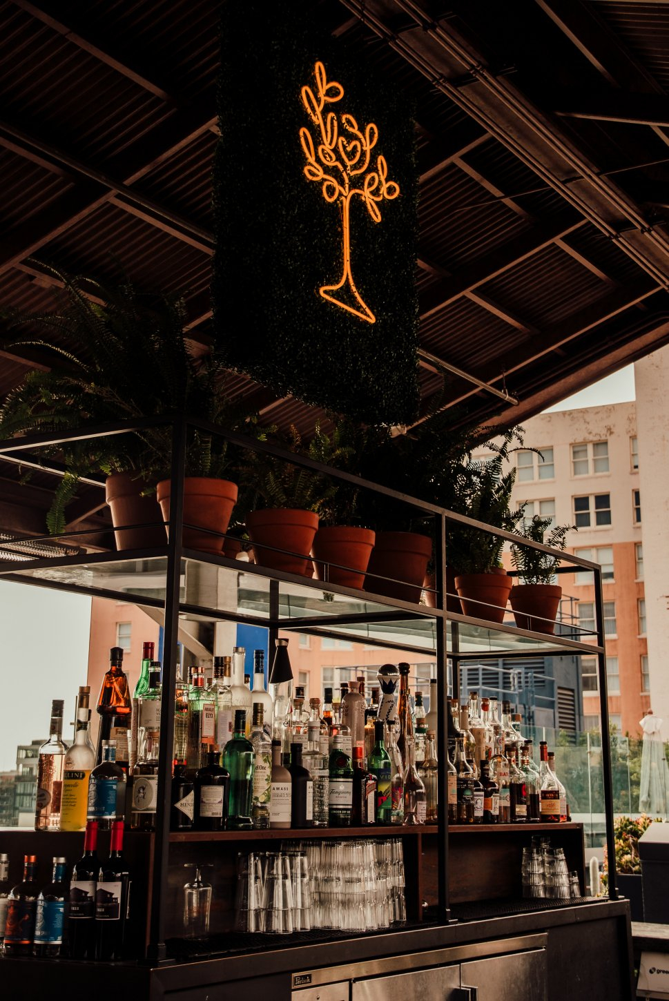 _hollyachilds - the aster la-012 The Aster