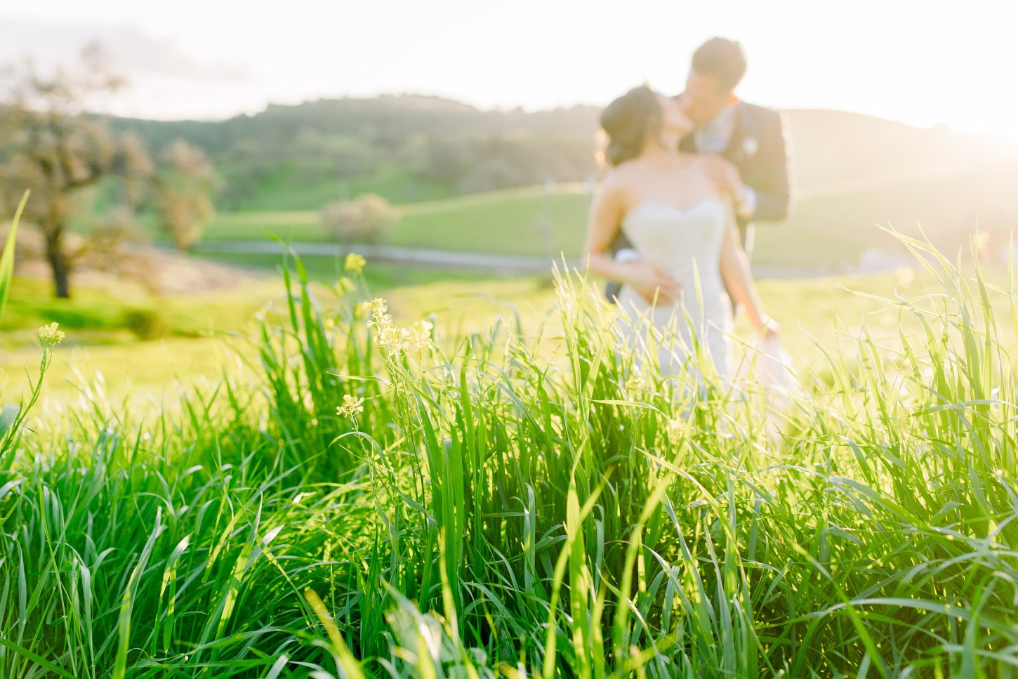 WHM_Alexandria and Kevin_Luke 1985_2019_hillside Willow Heights Mansion