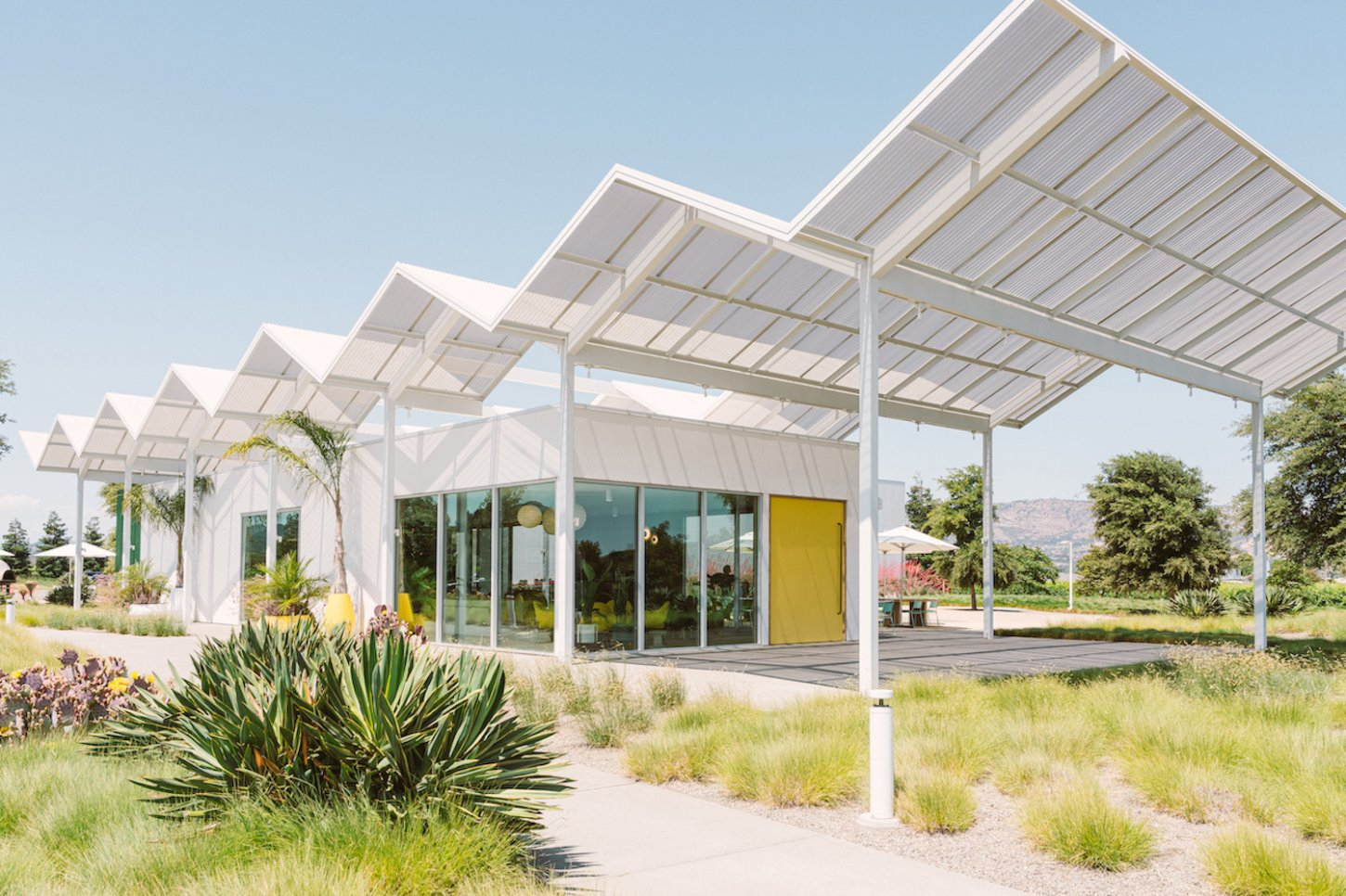 VR 1 Ashes & Diamonds