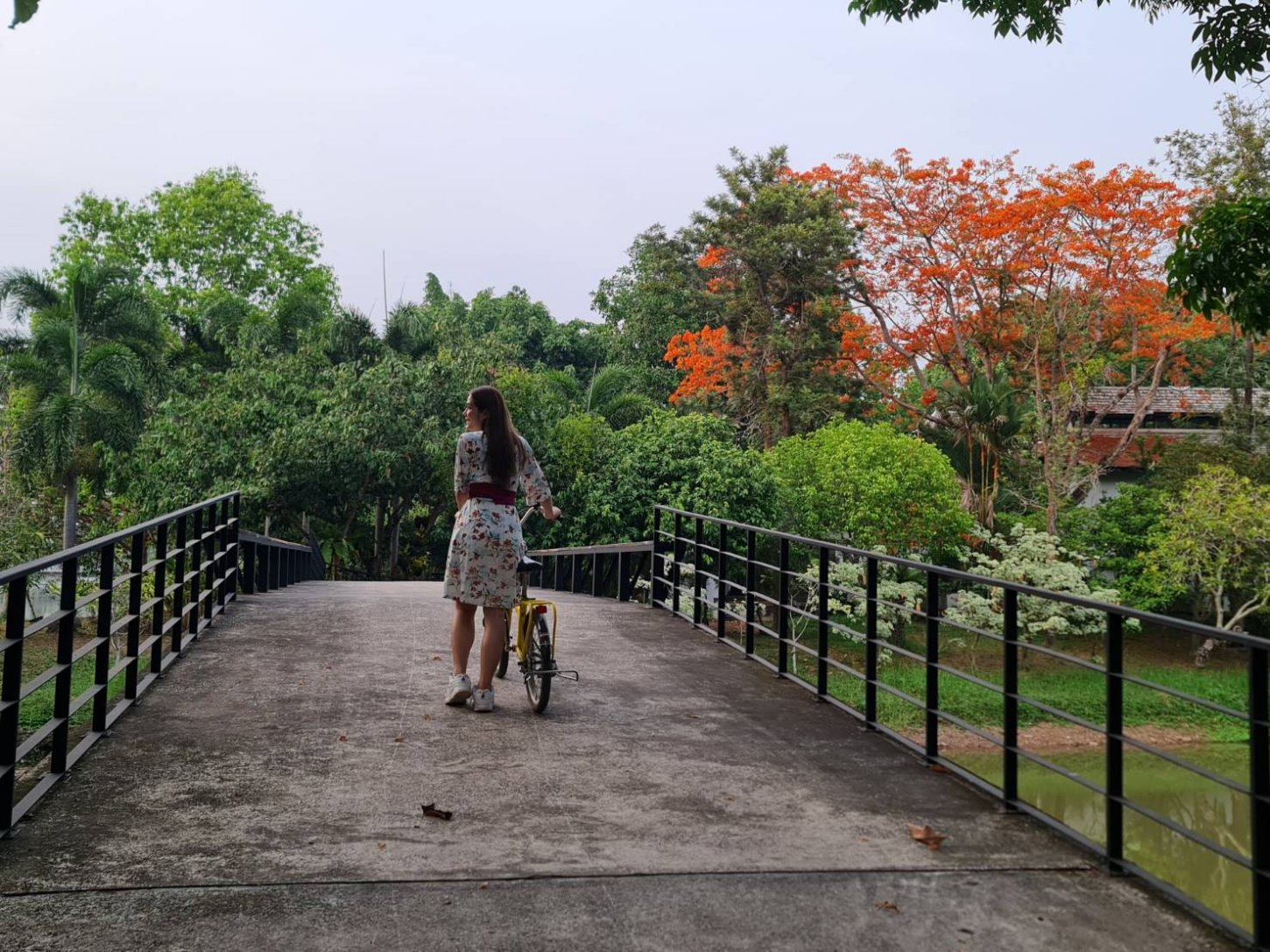 239700 Siamdasada Khayai