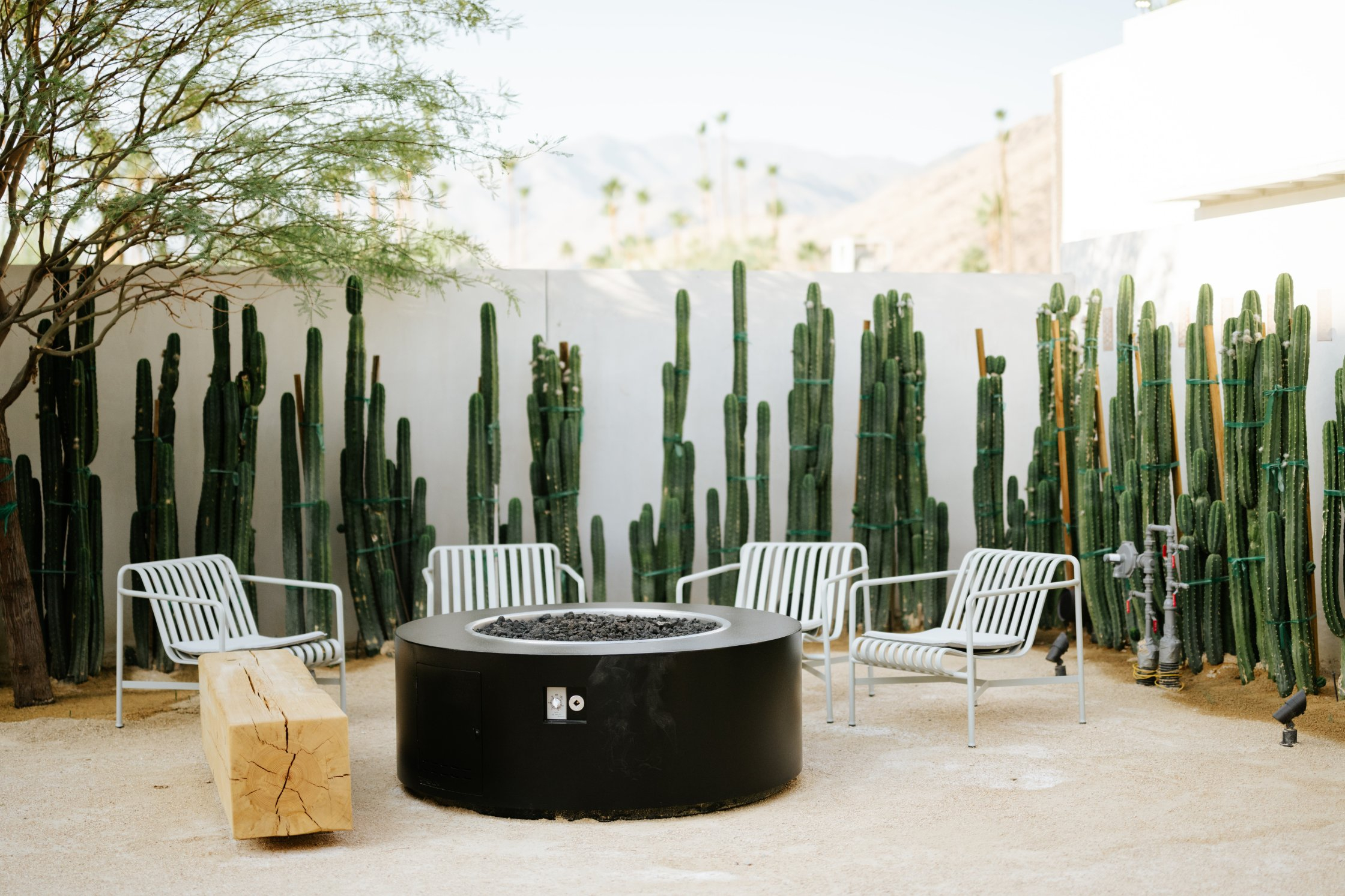 DriftHotelxSaltAndIvyPhotography-109 DRIFT Palm Springs