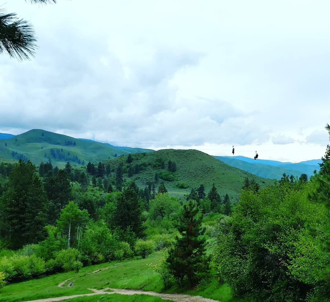 Double trouble green Jerusalem Landing