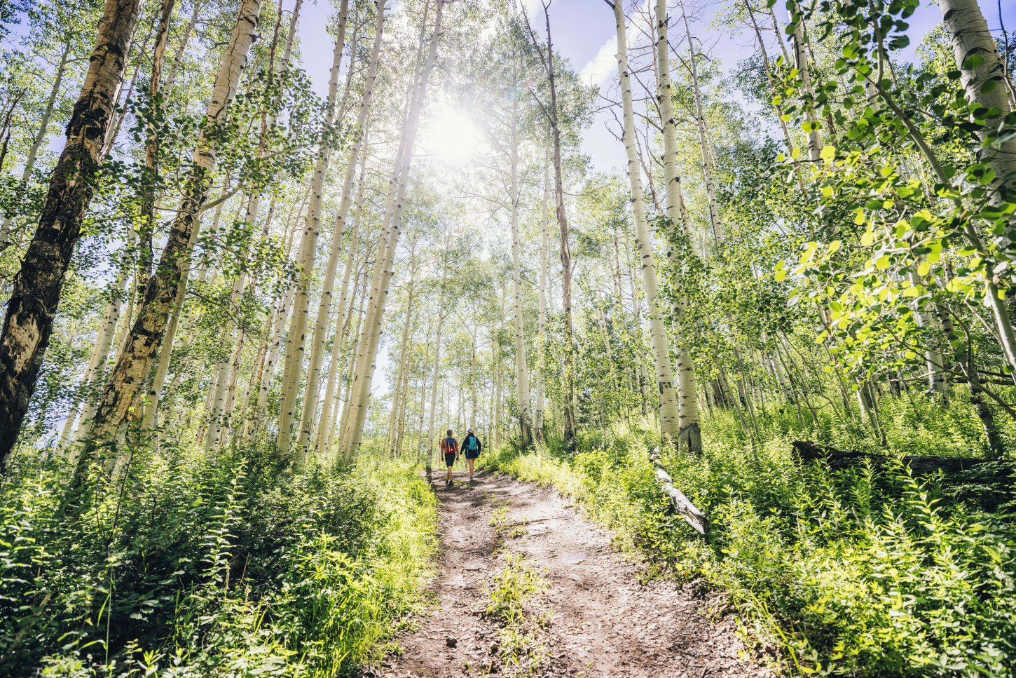 Trekking Smith Fork Ranch
