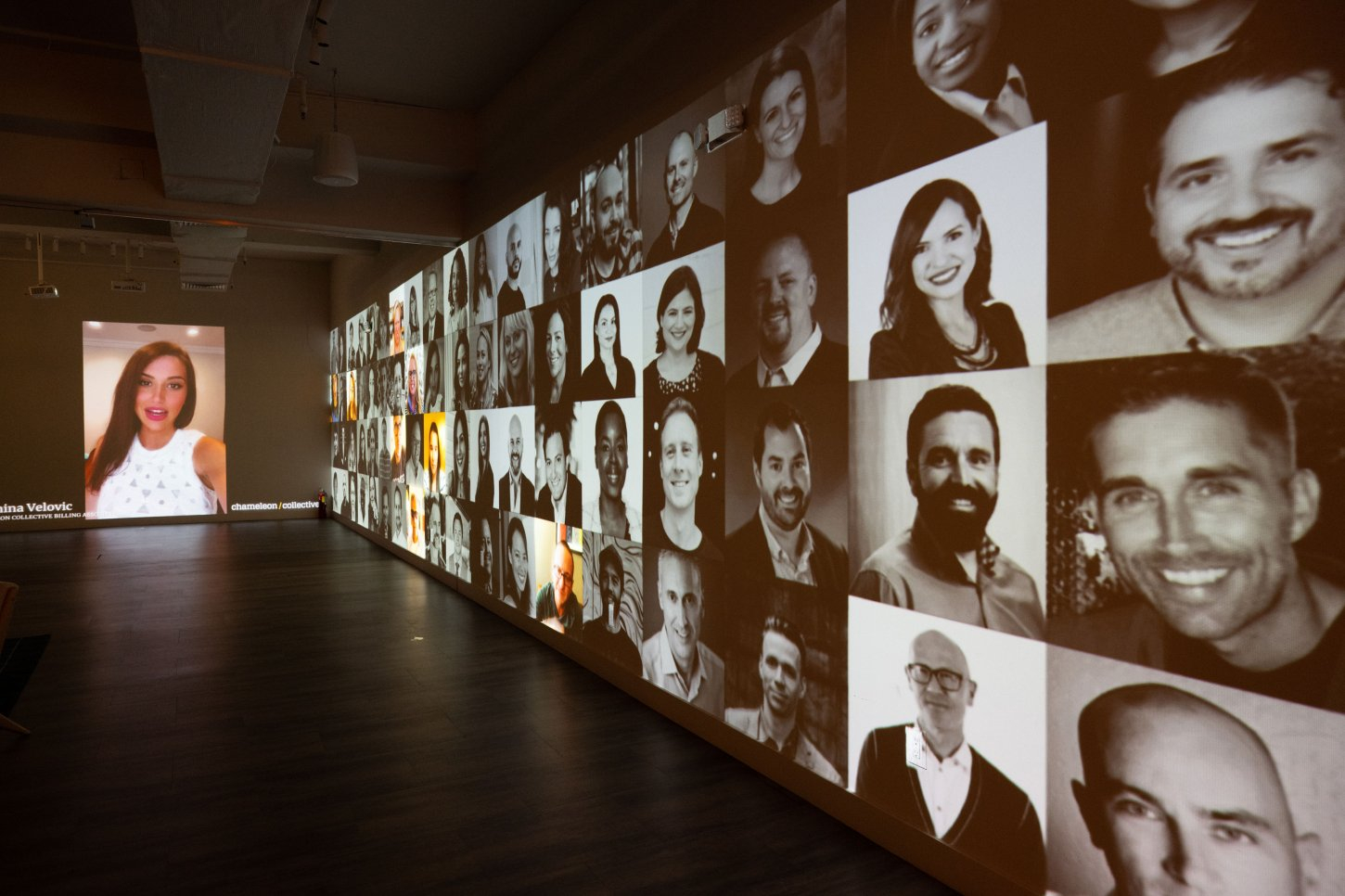 Chameleon-554 Loft Story