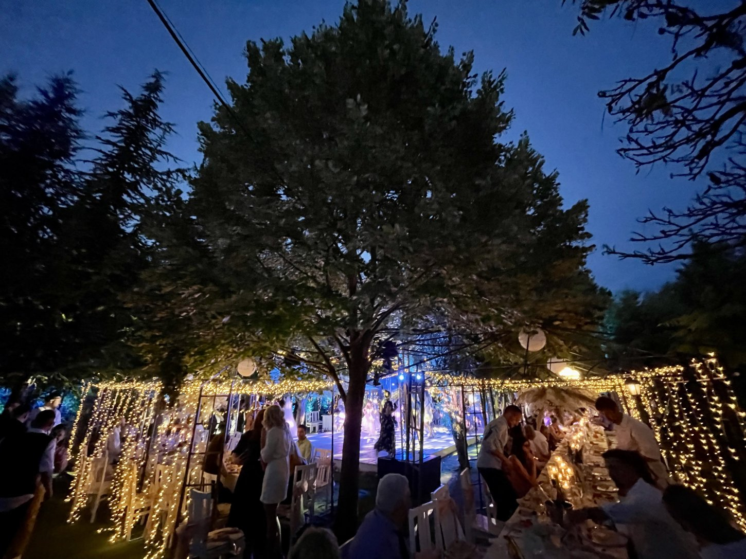 IMG_8859 MAVRUDA Garden