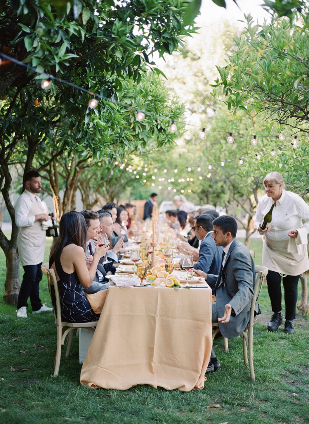 Citrus Grove Dinner The Madrona Hotel