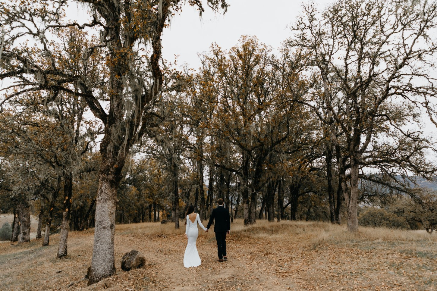 Kimwood Web-79 Kimwood Ranch