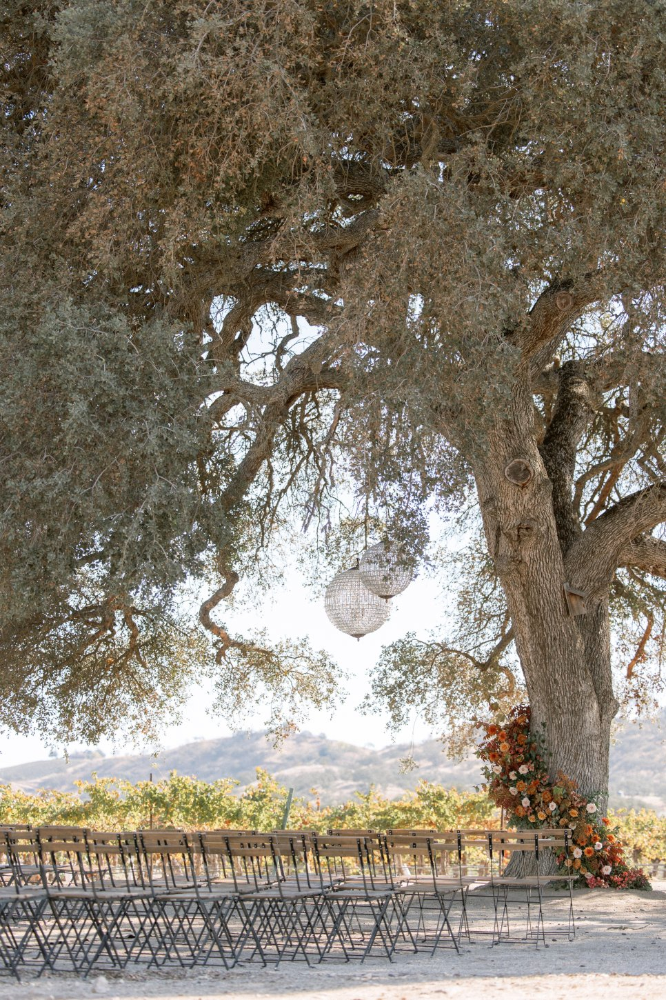 Emily Loeppke_Danae & Zane 11 Cass Winery