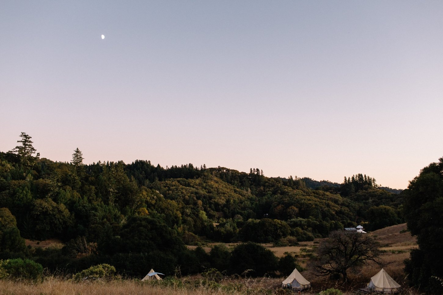 The Valley on a Summer Evening - Copy Whispertree Retreat