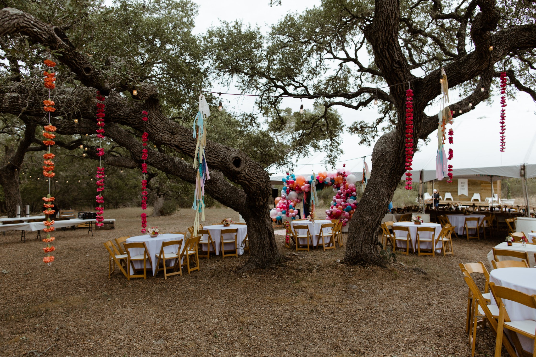 shandee-dane-san-marcos-wedding-brooke-taelor-photography-294 LaLa Park