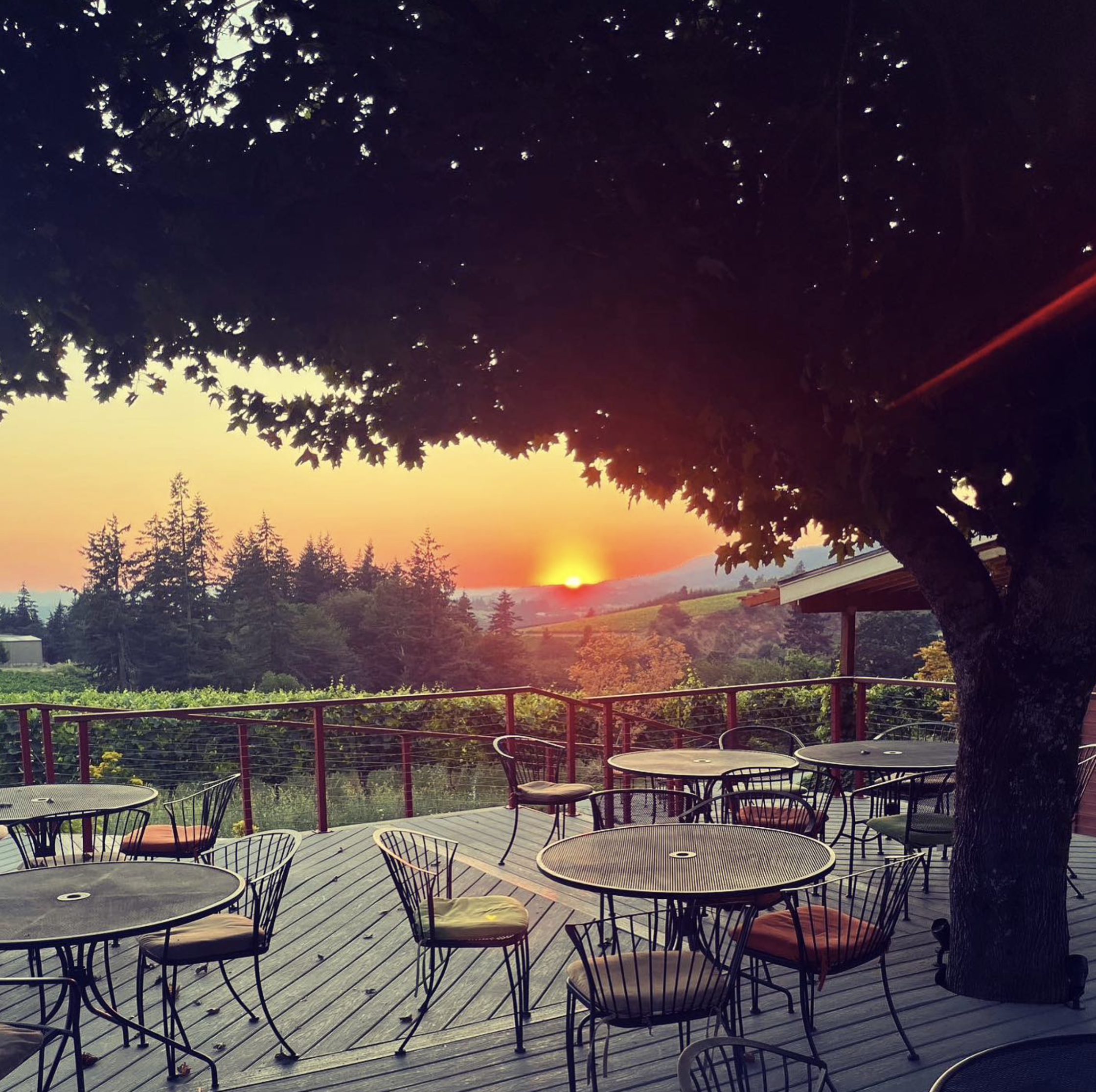 Patio at Newberg Tasting Room Archer Vineyard
