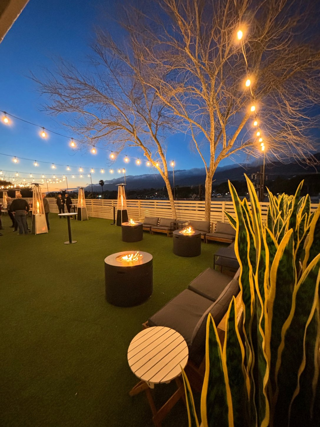 IMG_0411 Brass Bear Brewing & Bistro Uptown