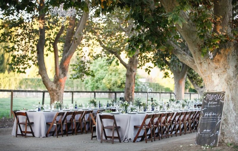 943d6b_161fc877e2534f379b8df426e6ab07a1~mv2 Whispering Rose Ranch