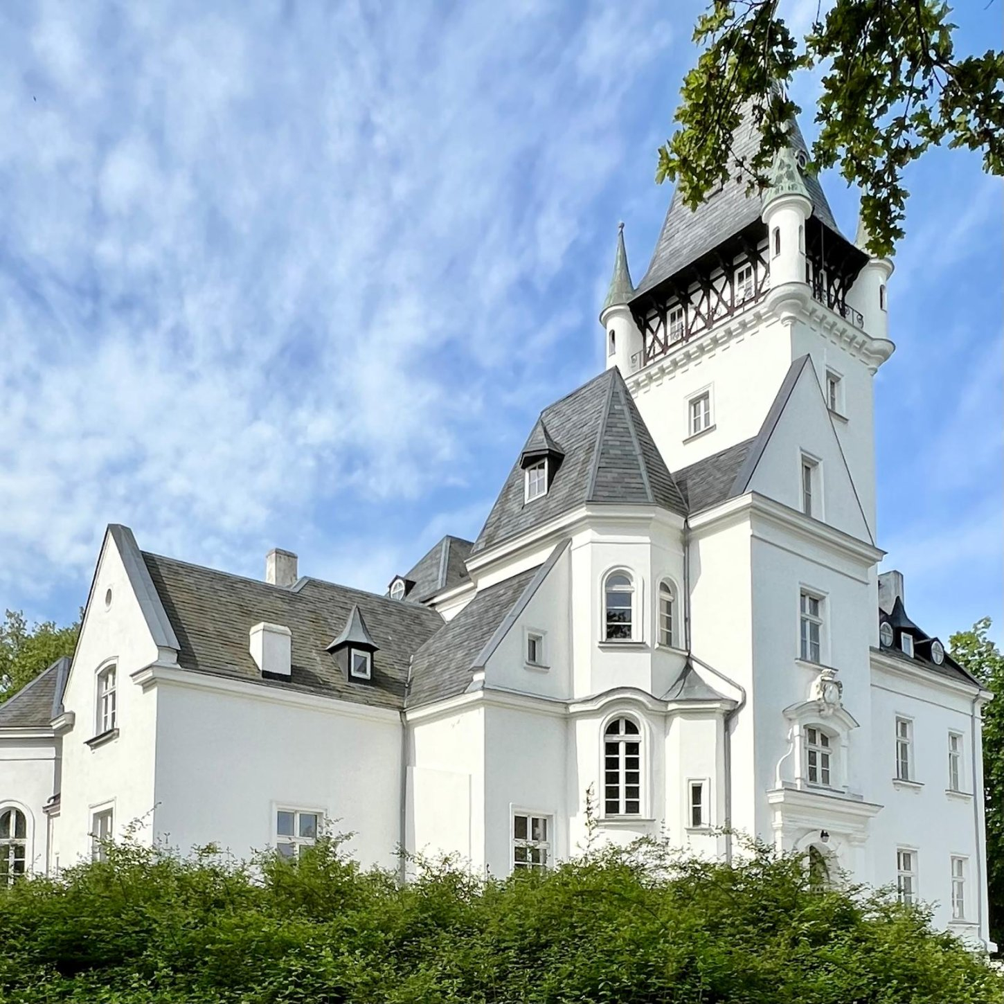 WhatsApp Image 2024-05-10 at 09 The Palace at Osowa Sien